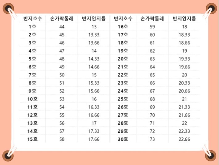 위닝 원도매_사진_20240508_14.jpg