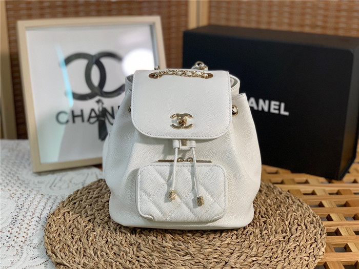 CHANEL 샤* 어피니티 백팩 AS3530